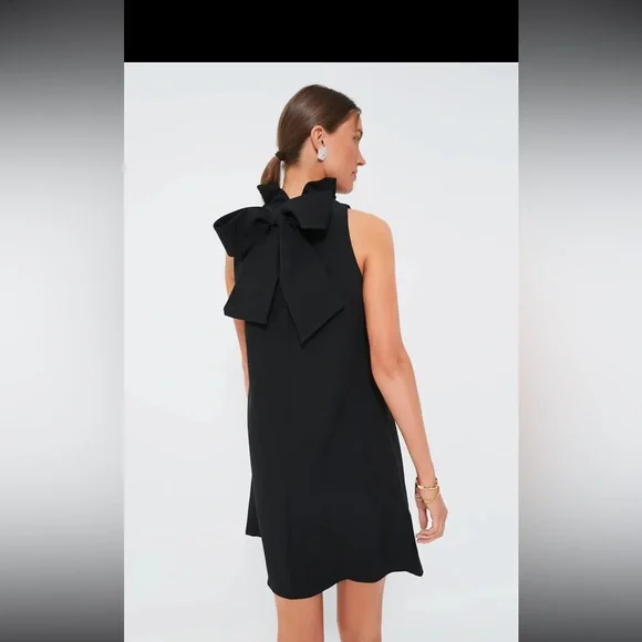 long black dress with mesh sleeves Rayne Mesh Long Sleeve A-Line Formal Dress